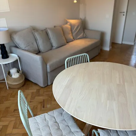 Rookiec 카스카이스